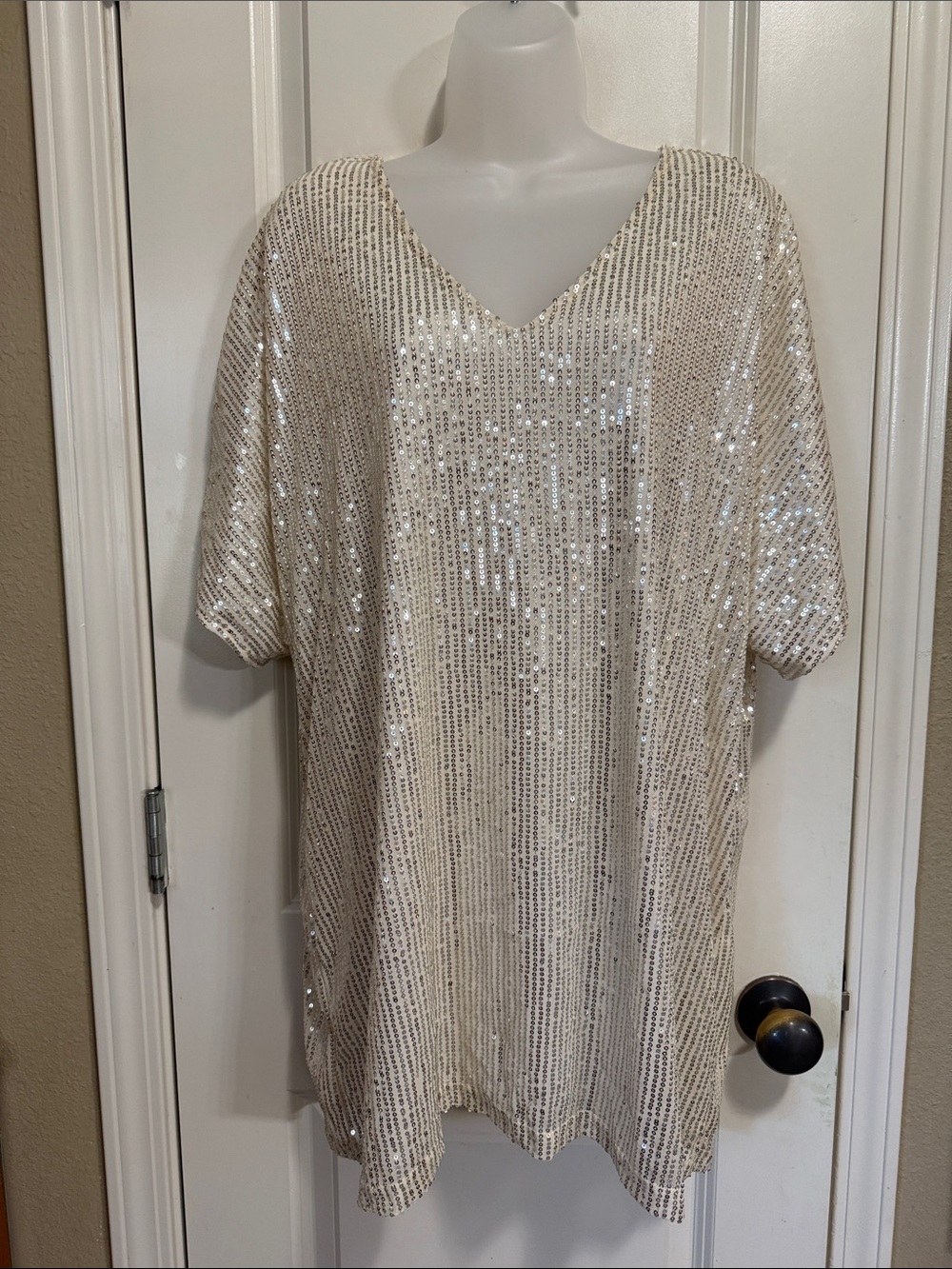 Cream and silver mini dress. Size XL. NWOT